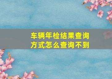 车辆年检结果查询方式怎么查询不到