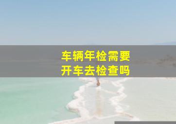 车辆年检需要开车去检查吗