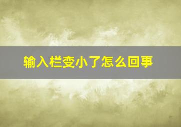 输入栏变小了怎么回事