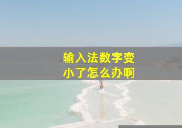 输入法数字变小了怎么办啊