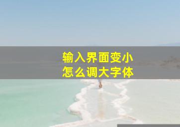 输入界面变小怎么调大字体