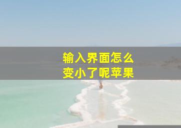 输入界面怎么变小了呢苹果