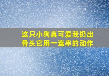 这只小狗真可爱我扔出骨头它用一连串的动作