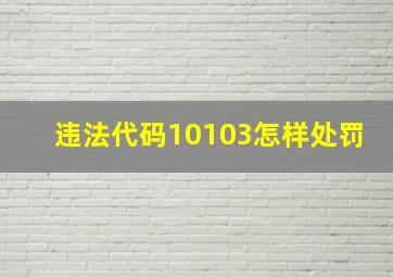 违法代码10103怎样处罚