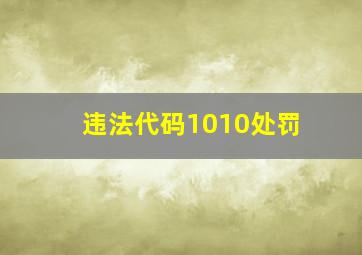 违法代码1010处罚