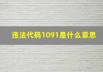 违法代码1091是什么意思