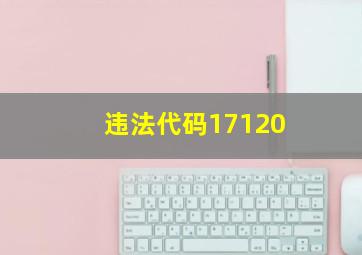 违法代码17120