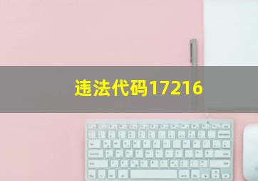 违法代码17216