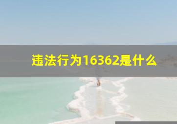 违法行为16362是什么