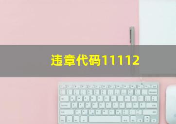 违章代码11112