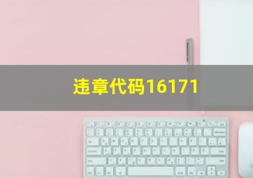 违章代码16171