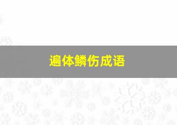 遍体鳞伤成语