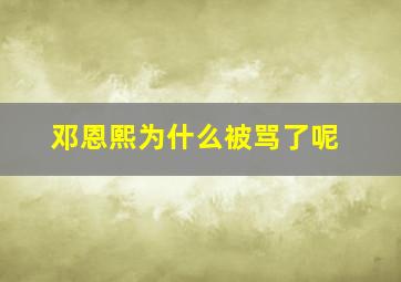 邓恩熙为什么被骂了呢