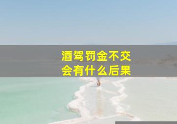 酒驾罚金不交会有什么后果