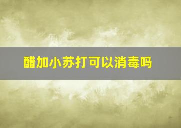 醋加小苏打可以消毒吗