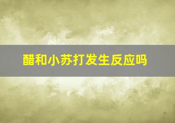 醋和小苏打发生反应吗