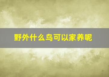 野外什么鸟可以家养呢