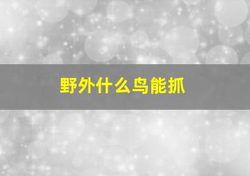 野外什么鸟能抓