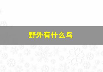 野外有什么鸟