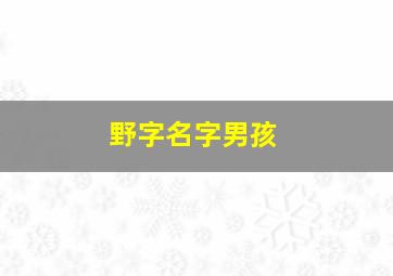 野字名字男孩