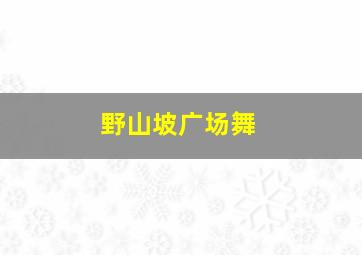 野山坡广场舞