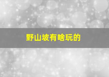 野山坡有啥玩的