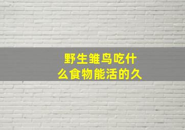 野生雏鸟吃什么食物能活的久