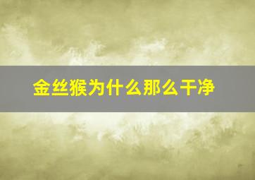 金丝猴为什么那么干净