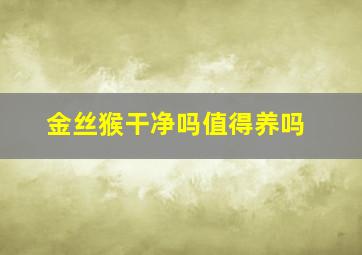 金丝猴干净吗值得养吗