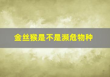 金丝猴是不是濒危物种