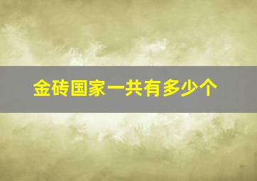 金砖国家一共有多少个