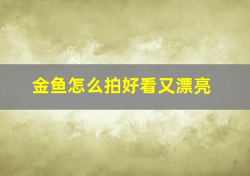 金鱼怎么拍好看又漂亮