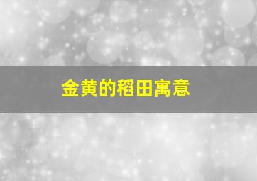 金黄的稻田寓意