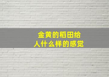 金黄的稻田给人什么样的感觉