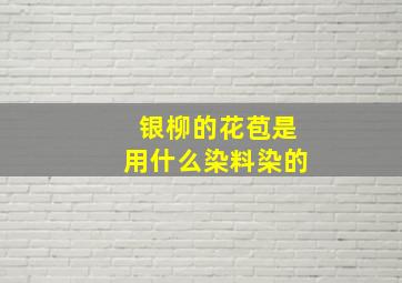 银柳的花苞是用什么染料染的