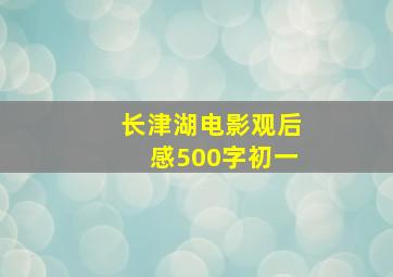 长津湖电影观后感500字初一