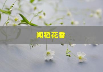 闻稻花香