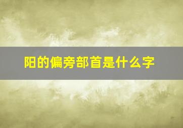 阳的偏旁部首是什么字