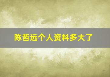 陈哲远个人资料多大了