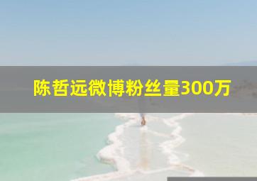 陈哲远微博粉丝量300万