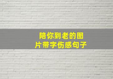 陪你到老的图片带字伤感句子