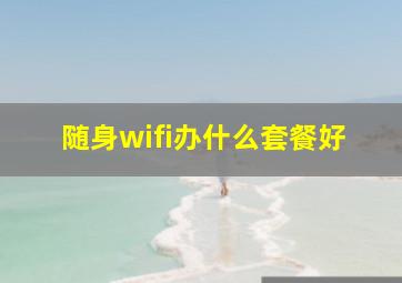 随身wifi办什么套餐好