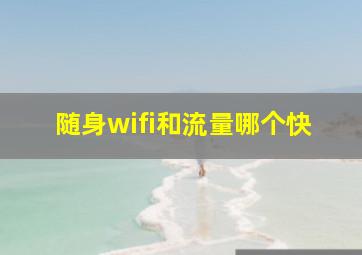 随身wifi和流量哪个快