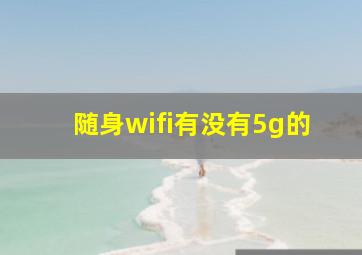 随身wifi有没有5g的