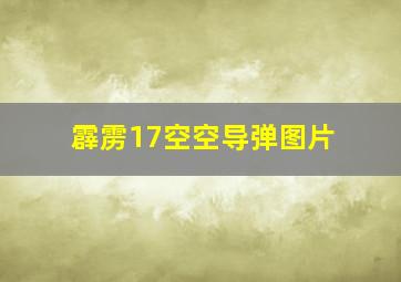 霹雳17空空导弹图片