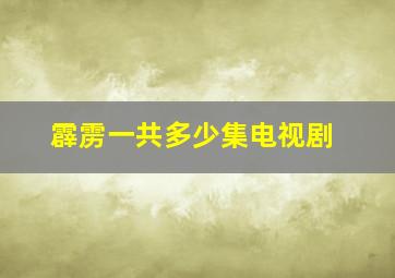 霹雳一共多少集电视剧