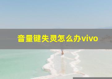 音量键失灵怎么办vivo