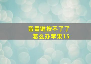 音量键按不了了怎么办苹果15