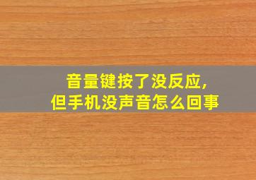 音量键按了没反应,但手机没声音怎么回事