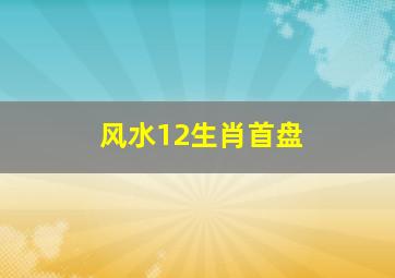 风水12生肖首盘